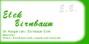 elek birnbaum business card